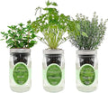 Hydroponic Growing Kit Set, Self-Watering Mason Jar Herb Garden Starter Kit Indoor, Window Herb Garden, Grow Your Own Herbs from Organic Seeds (Mint, Cilantro and Thyme)