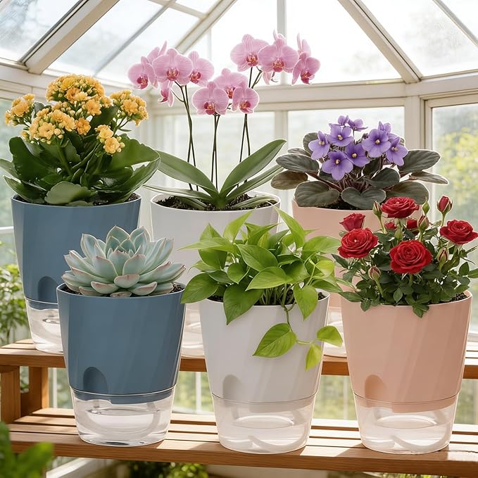 KIMCHOMERSE Self Watering Plant Pots 4.7 Inch, 6 Pack Indoor Planters with Drainage Holes & Saucers, Decorative Flower Pots for Home Office Decor (2 White, 2 Pink, 2 Blue)