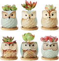 T4U 2.5 Inch Owl Ceramic Succulent Planter Pots with Bamboo Tray Set of 6, Flowing Glaze Porcelain Handicraft Plant Holder Container Gift for Mom Sister Aunt Best for Home Office Garden Decoration