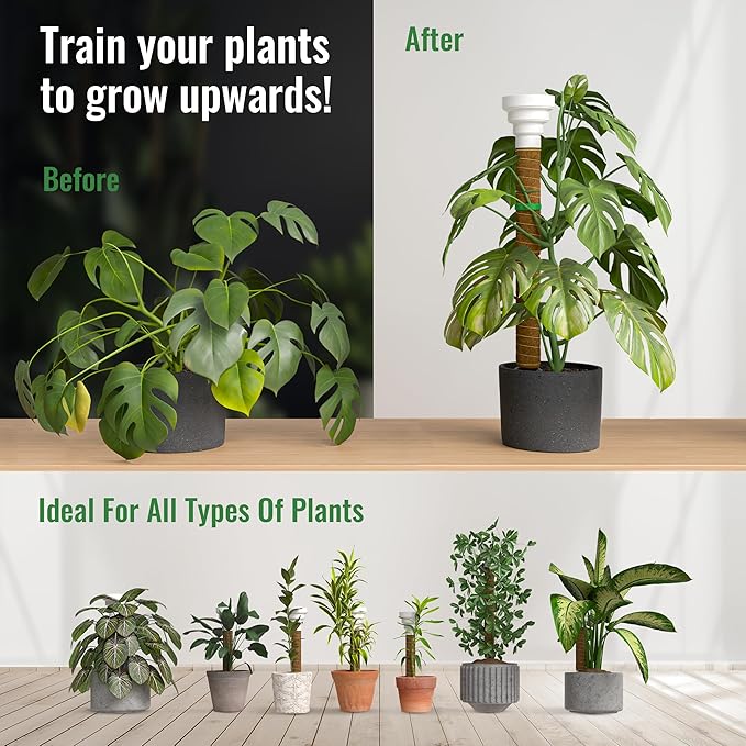 Organo Republic Moss Pole Monstera Plant Support Stakes - 26.4" Unique Self-Watering, Extendable Coco Coir Pole for Climbing Plant Supports for Potted Plants Indoor for Monstera, Pothos & More