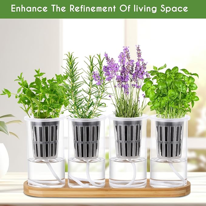 Teenyyou 8 Pcs Hydroponic Herb Planter Growing Kit Self Watering Glass Vase with Wooden Stand Herb Garden Starter Kit for Propagating Hydroponic Plants Centerpiece Office Home Garden Decor