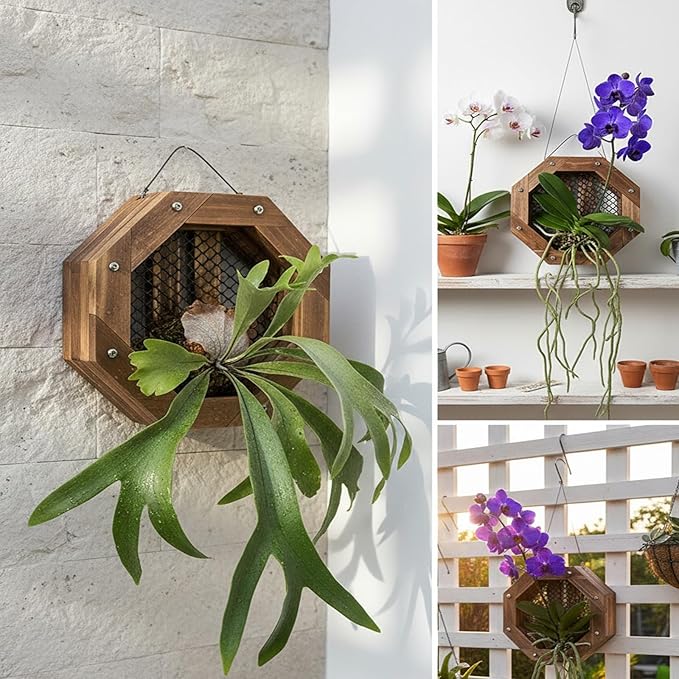 Staghorn Fern Mounting Kit - Wood Wall Planter for Orchids,Herbs & Indoor Plants | Hanging Plant Holder,Basket & Stand for Wall Decor(8.18inch)