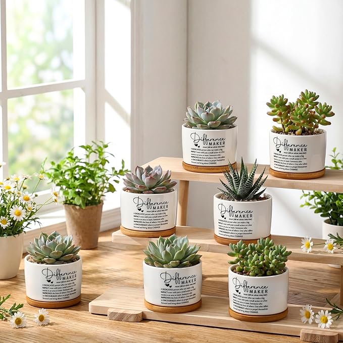 12 Pcs Difference Maker Employee Appreciation Gifts Succulent Pots Bulk Inspirational for Coworker Team Small Ceramic Plant Pots with Bamboo Trays for Office Staff Women Men