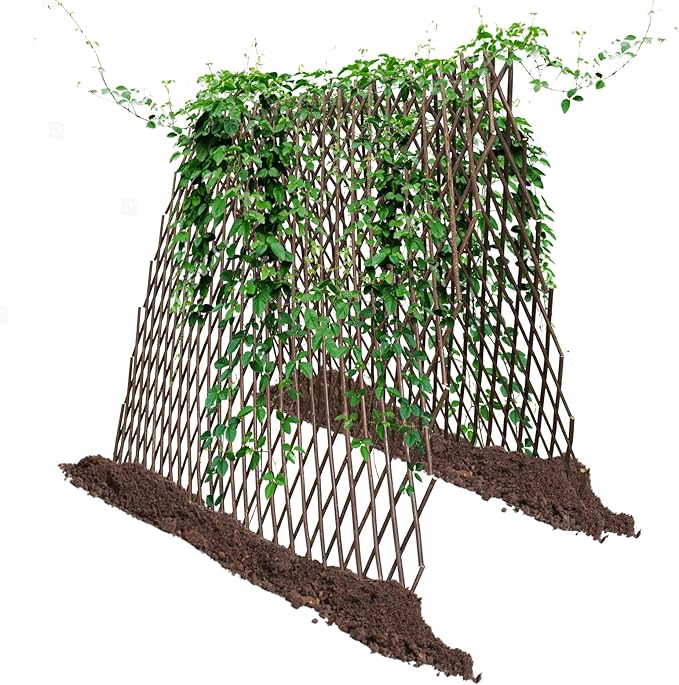Nature Willow Trellis Expandable Plant Support Plant Climbing Lattices Trellis Willow Expandable Trellis Fence for Climbing Plants Support 36x92 Inch,Double Panel (4)