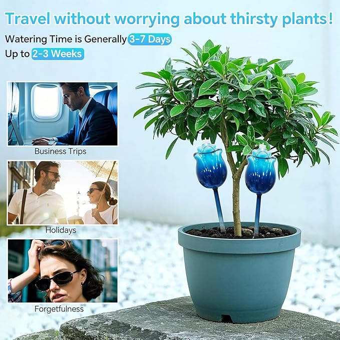 Large Plant Watering Globes Set of 3-10 oz Indoor/Outdoor Large Self Watering Globes Planter Insert, for Mother/Father/Friend/Plant Enthusiasts (Blue Rose)