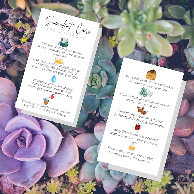 Succulent Care Instruction Cards | 50 Pack | 2x3.5” in Business Card | Succulent Care Cards | Plant Care Guide for House Sitter, Neighbor, Friend | White Card with Colored Icon