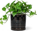 Eightpot 6 Inch Plant Pot, Ceramic Pots for Plants with Drainage Hole and Saucer, Round Planter for Indoor Outdoor Plants, Modern Decorative Flower Pots, Bedroom Decor, Gifts for Plant Lovers, Black