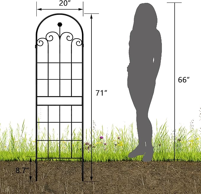 LZRS 2 Pack 71x20in Rustic Iron Arch Decoration Garden Trellis with Black Metal Coating – Perfect for Supporting Climbing Plants Outdoor, Roses, Vines, Flowers, and Vegetables.