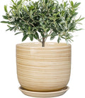 Indoor Plant Pot 8 Inch - Cylinder Modern Ceramic Planter for Indoor Outdoor Plants with Drainage Hole and Saucer, House Office Home Room Desk Decor, Yellow