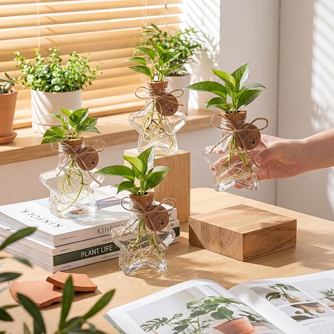 Baderke 24 Pack 3.74'' Plastic Plant Propagation Stations with Hole Lid 5oz Planter Vase Clear Propagation Jars with Thank You Tags for Plant Lover Gifts for Women Office Home Garden