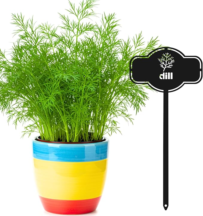 6 Piece Culinary Herbs Set Laser Cut Metal Garden Markers - Reusable Herb Sign, Sturdy and Weatherproof Steel Tags for Potted Plant, Garden and Greenhouse. Durable Label for Herbs & Spices