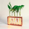 Plant Propagation Station with LED Lights, Plants Terrarium with Wooden Stand, 5 Glass Test Tube Vases for Propagating Hydroponic Plants Cutting Office Home Desk and Garden Decor Gift for Plant Lovers