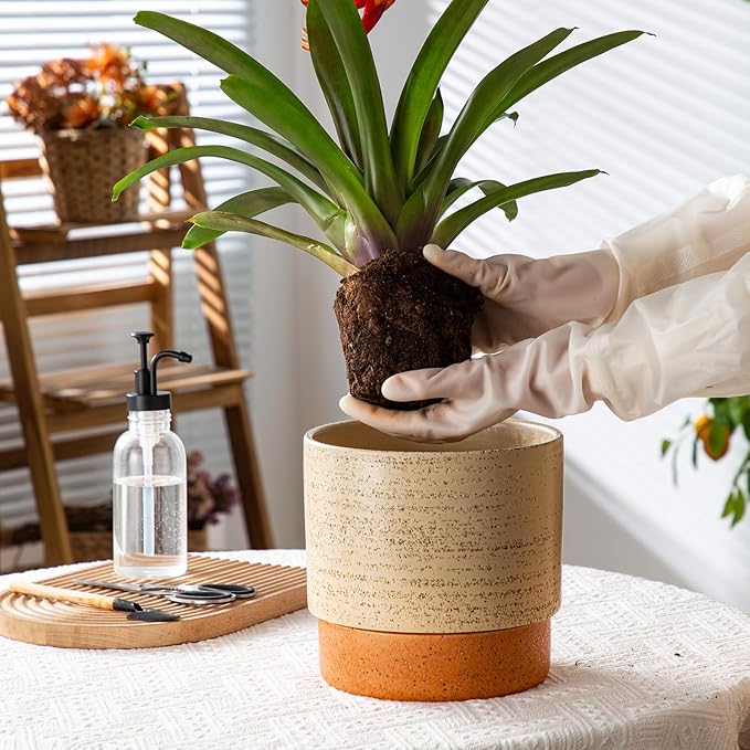 Self Watering Ceramic Planter: 8 Inch Plant Pot with Drainage Hole & Water Storage Plus for Outdoor & Indoor Plants, Succulents, Herbs - Flower Pot for Home or Office Decor - Brush