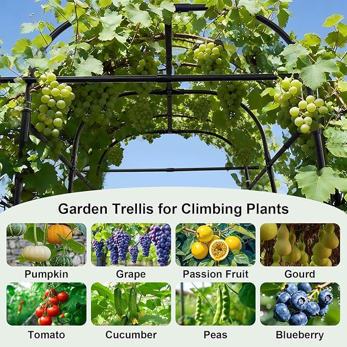 GOJAWAY 7 FT Grape Trellis for Garden Vegetable Trellis, Metal Garden Trellis Arch Plant Grow Support Frame for Climbing Plants Support Vegetable Flower Fruits Vine