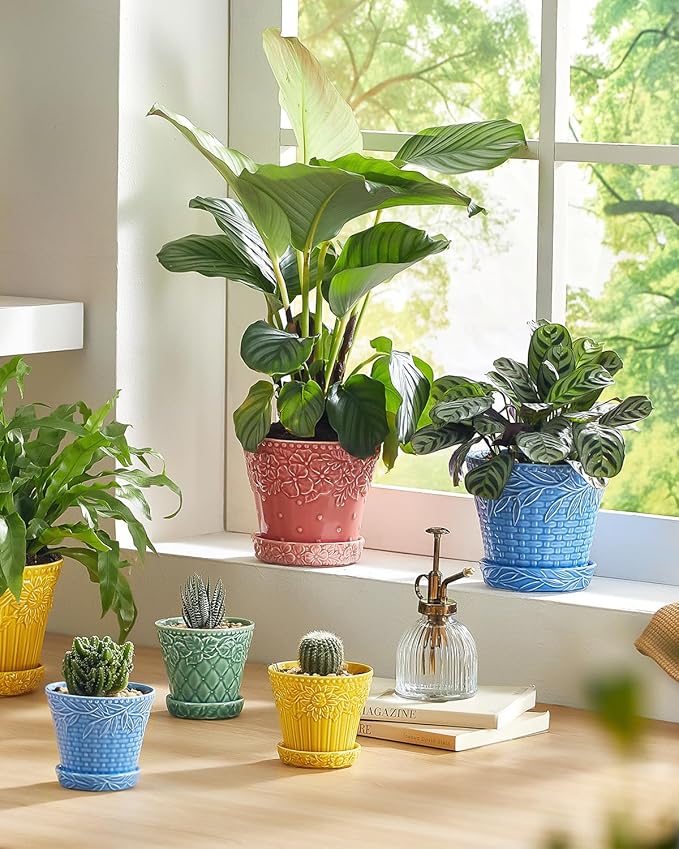 Metahom Ceramic Plant Pots, 5.8 Inch Flower Pots for Indoor Plants, Planters with Drainage Hole & Saucer, Garden Planters for Succulent, Orchid, Cactus, Home Decor, Set of 4, Assorted Colors