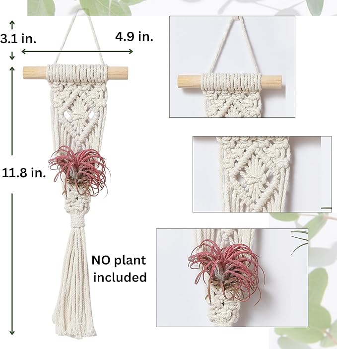 4 Pack Air Plants Holders, Wall Planters for Indoor Plants | Macrame Plant Hanger, Air Plant Hanger for Air Fern, Tillandsias (for Air Plant, NO Plant Included)