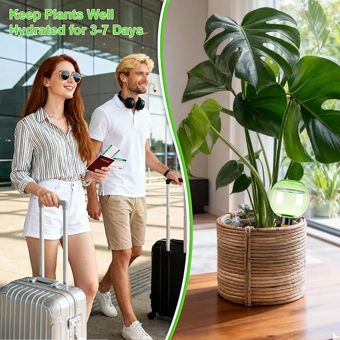 6 Pack Self Watering Globes 17oz Large Plant Watering Globes Top Fill, Self Water Planter Insert Indoor/Outdoor Plastic Water Bulbs Slow Release Terracotta for Plants, Green