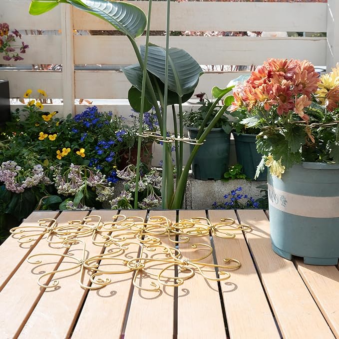 Yohsnor 6.5IN Monstera Plant Support Hook 5PCS Durable Stem Stabilizer for Indoor Plants | Easy Setup 5-Piece Set Ideal for Turtle Shell Leaf Support Ideal Present for Plant Lovers & Home Garden Décor