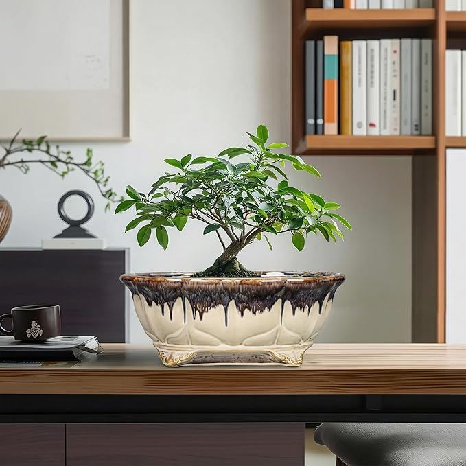 Ceramic Bonsai Tree Pots - 11 Inch Succulent Pots with Drainage Hole, Decorative Bonsai Pot for Indoor Outdoor Plants, Succulent Planters, Front Porch Decor, Gardening Gifts, Oval Beige-Brown