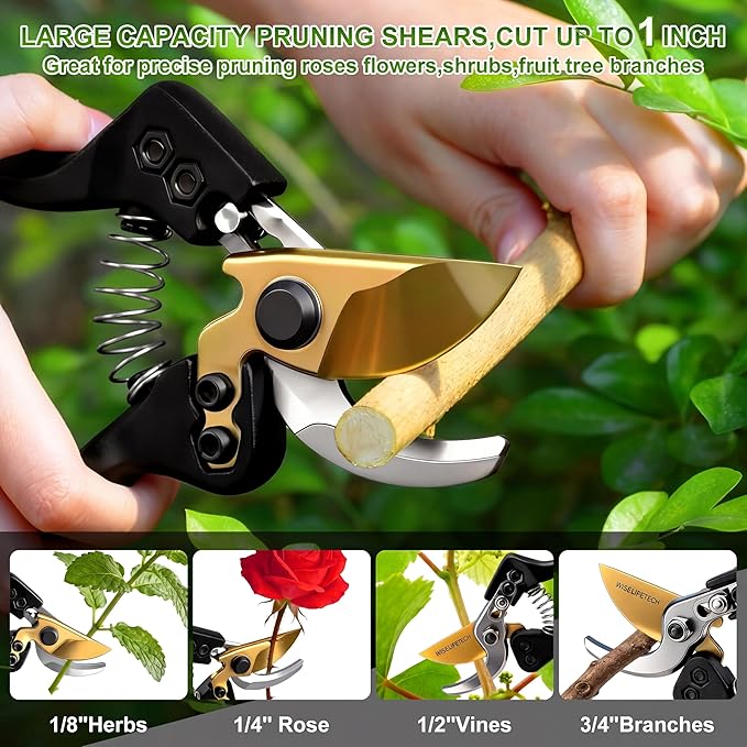 Pruning Shears, Sharp Clean Cut SK5 Steel 8" Garden Clippers with Teflon Blade, Bypass Hand Pruners, Ergonomic Non-Slip Grip for Roses, Shrubs & Plants