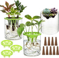 3 Sets Plant Propagation Station Vase Hydroponic Planter Pot Terrarium Glass Planter Kit Indoor Herb Garden Kit Christmas Birthday Gift for Women Parents Garden