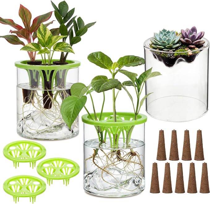 3 Sets Plant Propagation Station Vase Hydroponic Planter Pot Terrarium Glass Planter Kit Indoor Herb Garden Kit Christmas Birthday Gift for Women Parents Garden