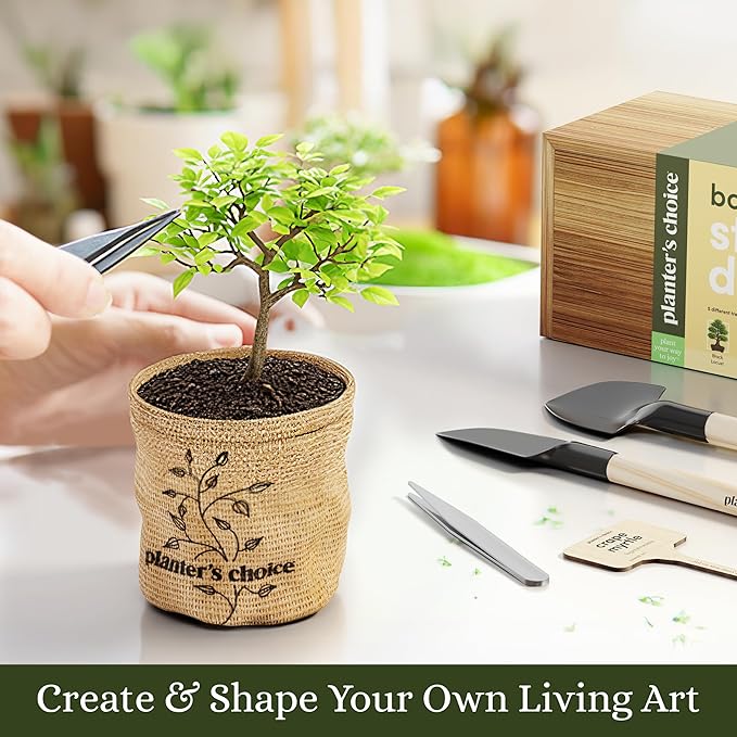 Planter's Choice Bonsai Tree Starter Kit - Mothers Day Gifts for Women, Men - Birthday Gifts for Adults - Indoor Live House Plants - DIY for Adults Craft Kits - Unique Hobby Gift Gardening Lovers