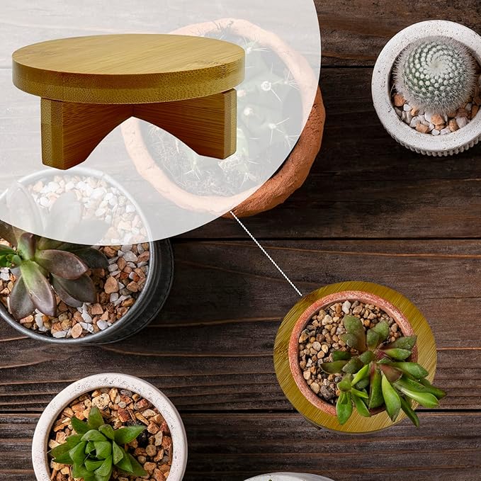 Short Round Wooden Plant Stand Indoor Desktop Flower Pedestal Stand Wood Decor Risers for Small Plants Display(4.5 Inch)