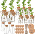 Baderke 12 Pack 3.35'' Plastic Plant Propagation Stations with Hole Lid Planter Vase Clear Propagation Jars with Thank You Tags for Plant Lover Gifts for Women Office Home Garden