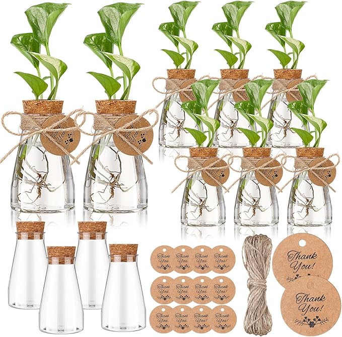 Baderke 12 Pack 3.35'' Plastic Plant Propagation Stations with Hole Lid Planter Vase Clear Propagation Jars with Thank You Tags for Plant Lover Gifts for Women Office Home Garden