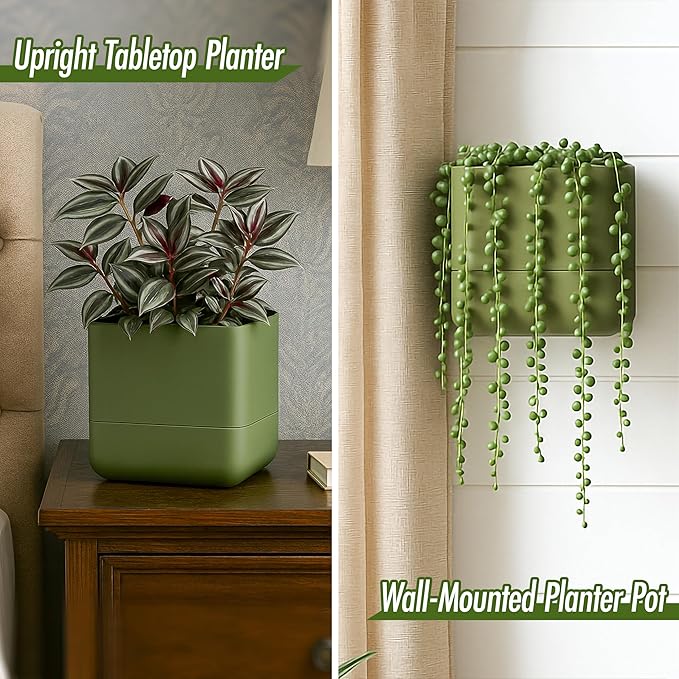 Phoenix Vine 6.5 Inch Wall Mounted Self-Watering Planter Pot for Indoor Houseplants and Herbs | Hanging Planter for Window Sills, Bathroom Walls, Home & Office Décor, Olive, Set of 2, 01-C-F-2