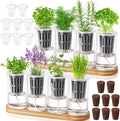 Teenyyou 8 Pcs Hydroponic Herb Planter Growing Kit Self Watering Glass Vase with Wooden Stand Herb Garden Starter Kit for Propagating Hydroponic Plants Centerpiece Office Home Garden Decor