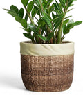 Ceramic Planter - 9.8 Inch Plant Pot for Indoor Outdoor Plants, Boho Ceramic Plant Pots with Drainage Hole and Plug, Round Indoor Planter, Garden Decor, Gardening Gifts for Women, Brown