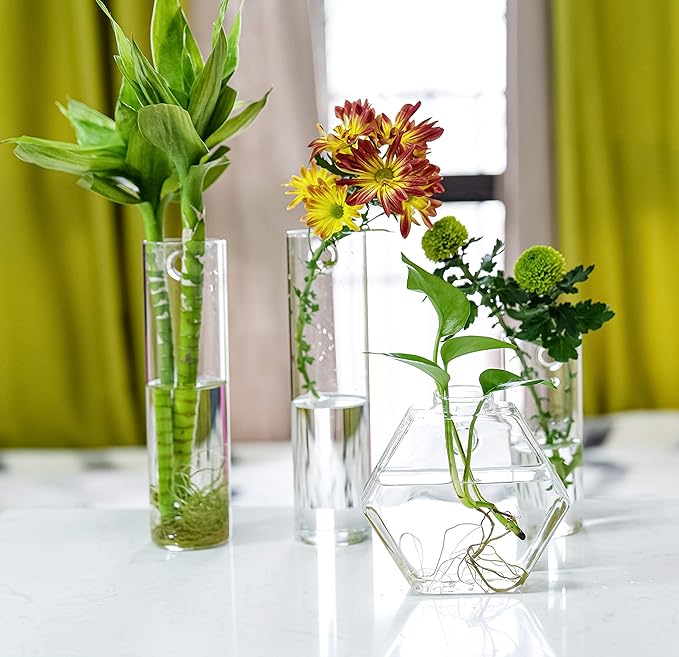 Kingbuy Hexagon Wall Planter Set - 3 Pack Glass Propagation Terrarium Vases with Hanging Mounts for Indoor Plants, Air Plants & Hydroponic Stations Home Office Decor, Plant Lover Gifts (Medium)