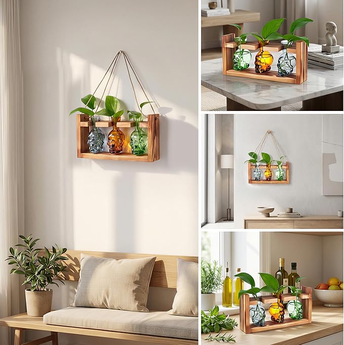 Colored Plant Terrarium Propagation Stations | Borosilicate Glass Hydroponic Vases | Ideal for Succulents, Air Plants, and Plant Cuttings | Unique Halloween Decoration | Creative Gift for Parents