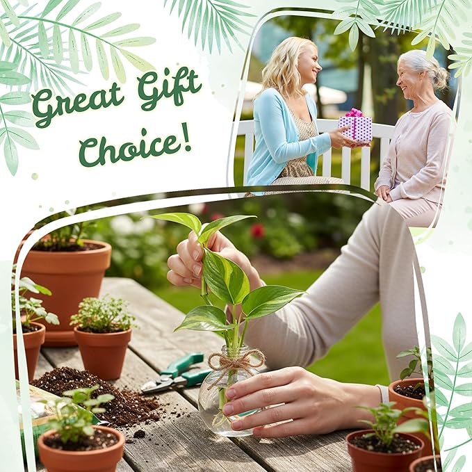 Plastic Window Propagation Stations - 9 Pack Hanging Plant Propagation Vases Clear Jars with Hook Thank You Tag Cleaning Brush for Women Plant Lover Garden Home Office Decor Housewarming Gifts