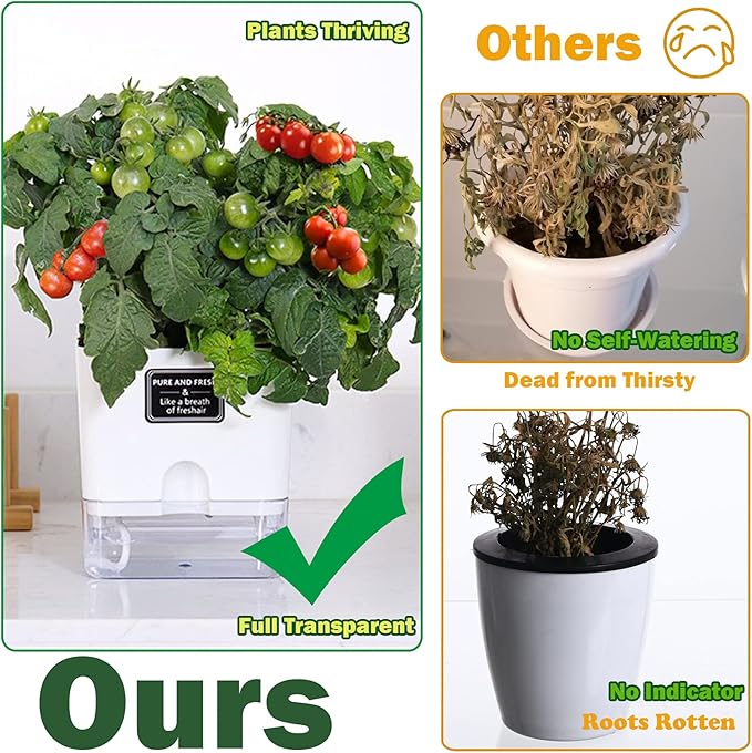 Planterhoma Self Watering Plant Pots for Indoor Plants 5.5 inch, 3 Packs Square Self-Watering Planters with Drainage Hole, White African Violet Pots for Devil's Ivy, Spider Plant, Orchid, Herb