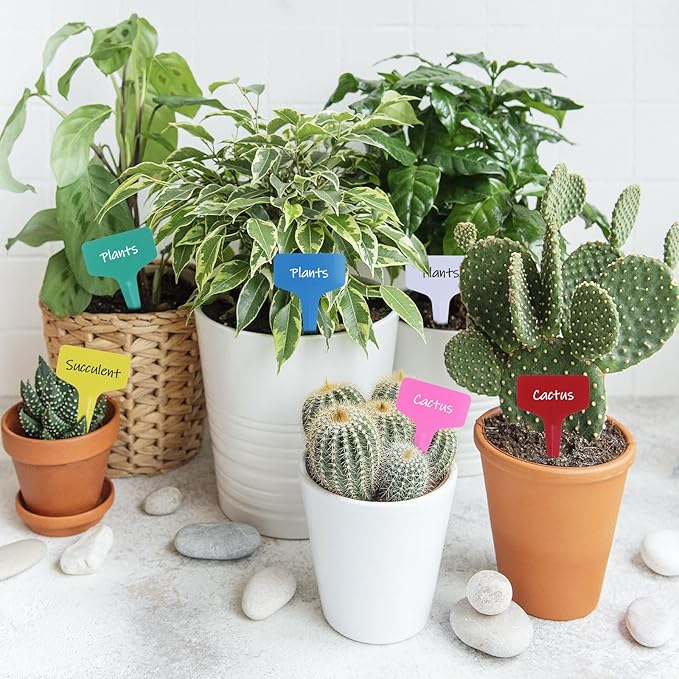 240Pcs 6 Colors Plant Labels with Plant Tie Waterproof Plastic Garden Stake Tags Reusable T-Type Nursery Garden Makers for Seedlings Flower Vegetables Herb Potted (6x10cm)