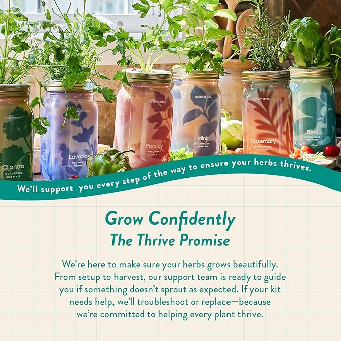 Modern Sprout Mason Garden Jar - Self-Watering Hydroponics Growing System Kit with Organic Herb Seeds - Jar Planter for Indoor Herb Garden - Seed Starter Kit - Home Decor & Gifting - Basil