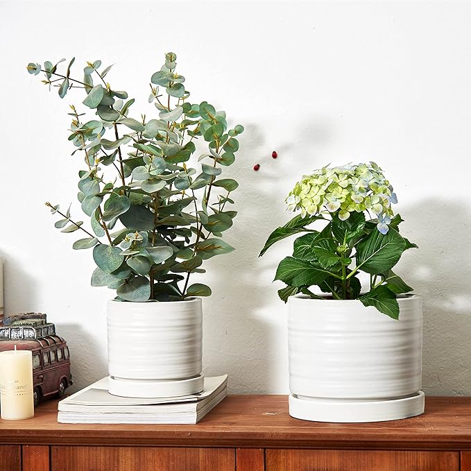 HERDUK 6 + 8 Inch Plant Pots, Ceramic Planter Pot with Drainage Hole & Saucer, Indoor/Outdoor Cylinder Round Planter Pot, Matte White