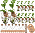 Baderke 12 Pack Big 10oz Plastic Plant Propagation Stations with Hole Lid Planter Vase Clear Propagation Jars with Thank You Tags for Plant Lover Gifts for Women Office Home Garden