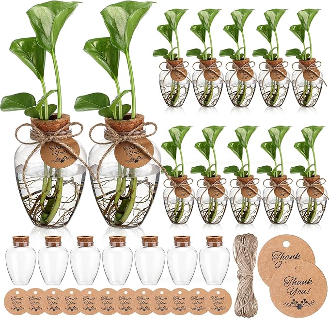 Baderke 12 Pack Big 10oz Plastic Plant Propagation Stations with Hole Lid Planter Vase Clear Propagation Jars with Thank You Tags for Plant Lover Gifts for Women Office Home Garden