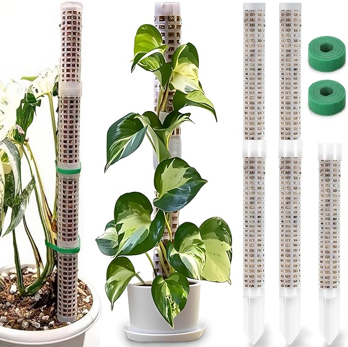 Sturdy Moss Poles for Climbing Plants - Extendable & Adjustable Small Moss Pole Monstera Plant Support Ideal for Indoor and Climbing Plants & More, Extendable Length 11.1'' to 31.2'', Set of 5