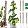 Sturdy Moss Poles for Climbing Plants - Extendable & Adjustable Small Moss Pole Monstera Plant Support Ideal for Indoor and Climbing Plants & More, Extendable Length 11.1'' to 31.2'', Set of 5
