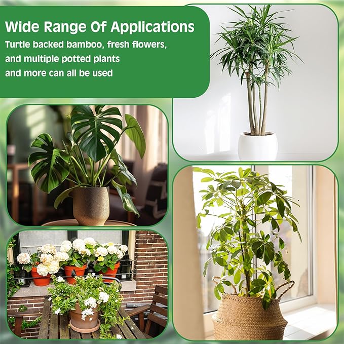 Frienda 9 Pcs Monstera Plant Support Metal Iron Plant Stem Support Stakes for Indoor Plants 4.1 Inch Golden Powder Coating Turtle Shell Bamboo Clamp Set for Thriving Growth Indoor Garden Accessories