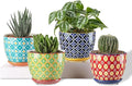 Metahom Succulent Ceramic Pots, 3.8 Inch Small Plant Pots with Drainage Hole & Saucer, Flower Planter Pot for Houseplants, Cacti, Home Decor, Set of 4, Vibrant Colors