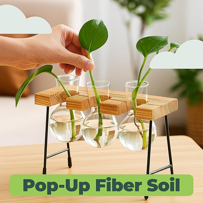 Window Garden Plant Terrarium Glass Vase with Stand - Set of 3 - Real Wood Frame with Transparent Bulb-Shaped Glass - Propagation Stations for Indoor Plants - Wooden Finish