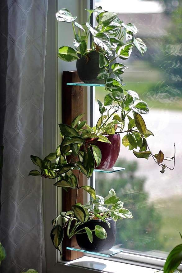 Daniel's Plants 3 Tiered Window Sill Plant Shelf (Real Wood & Glass) | Renter Friendly Window Shelves | Removable Indoor Plant Stand with Hook-and-Loop | Easy Setup | Solid Wood (Woodland Brown)