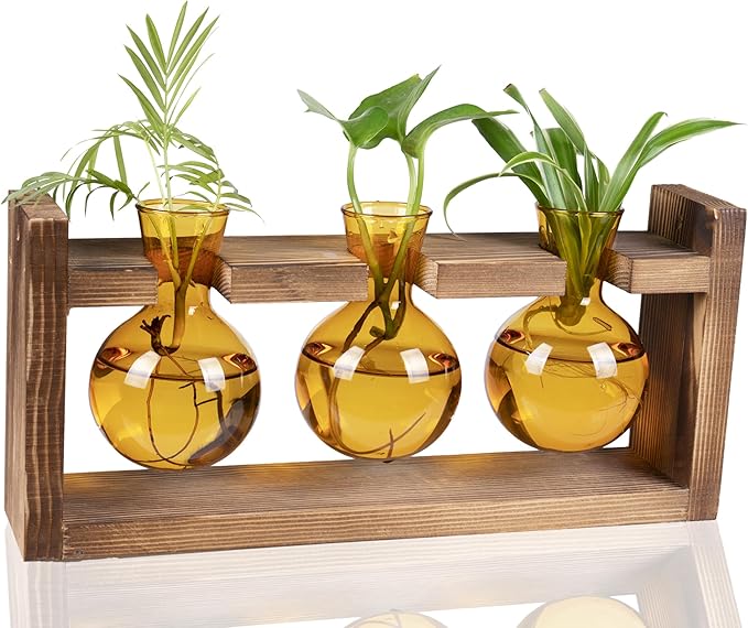 Kingbuy Glass Plant Terrarium Propagation Station - 3 Bulb Colored Vases with Retro Wood Stand Indoor Garden Planter - Wall Mount Desktop Decor for Home Kitchen Wedding, Plant Lover Gift, Amber