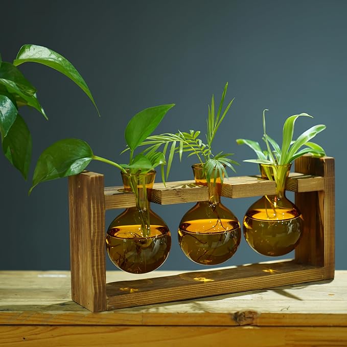 Kingbuy Glass Plant Terrarium Propagation Station - 3 Bulb Colored Vases with Retro Wood Stand Indoor Garden Planter - Wall Mount Desktop Decor for Home Kitchen Wedding, Plant Lover Gift, Amber